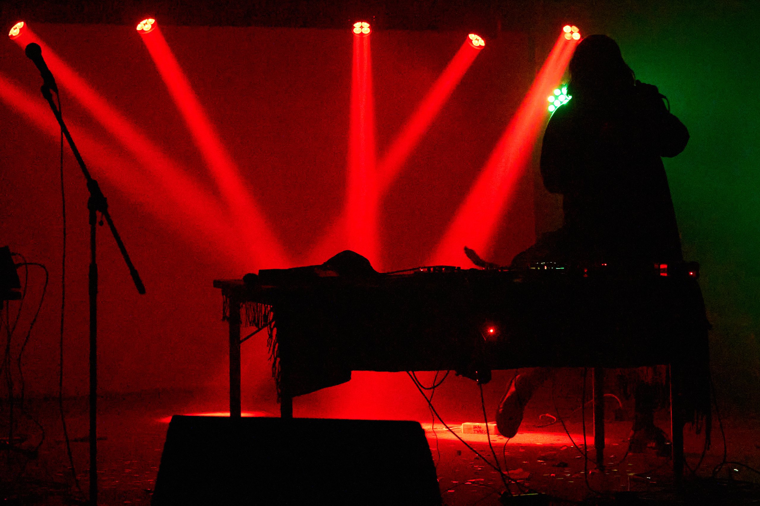 2024 09 13 Auditiver Cortex 0655